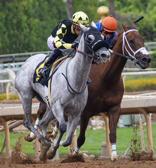 的广泛关注 的广泛关注